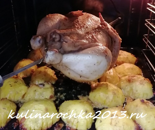 готовим курицу гриль в духовке